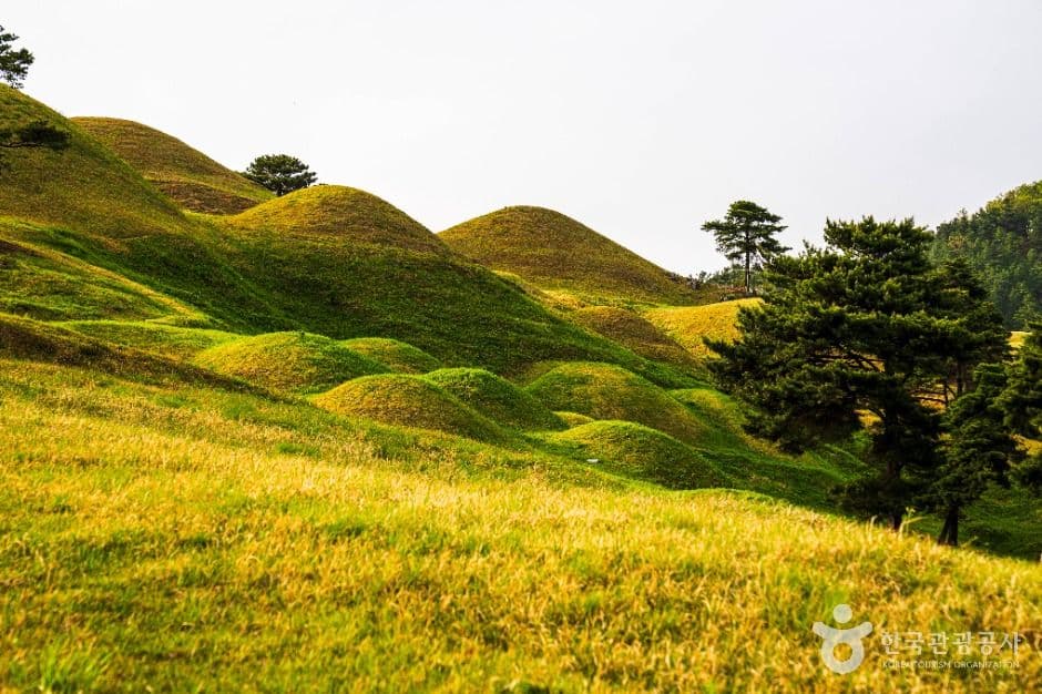 고령 지산동 고분군 사진 1