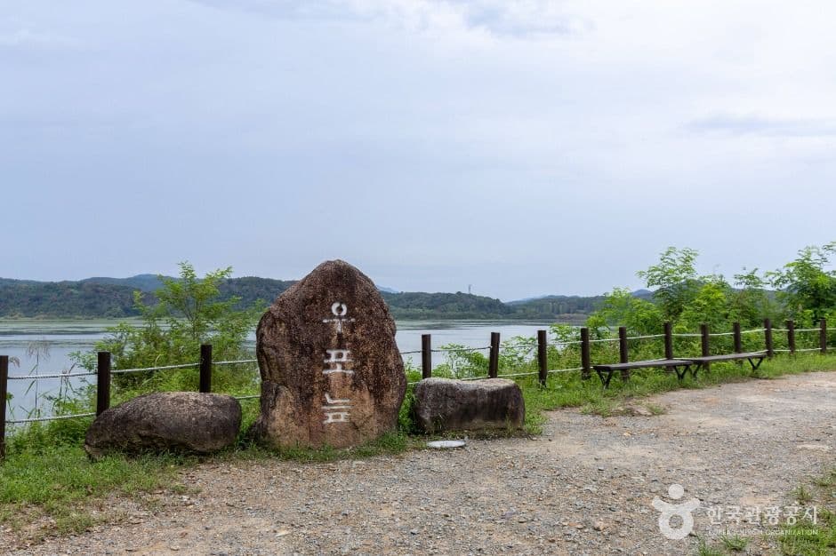 창녕 우포늪