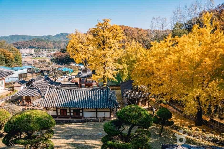 함안향교 사진 2