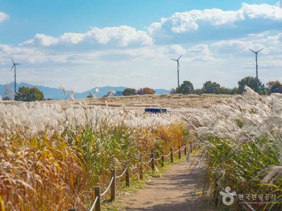 하늘공원 사진 2