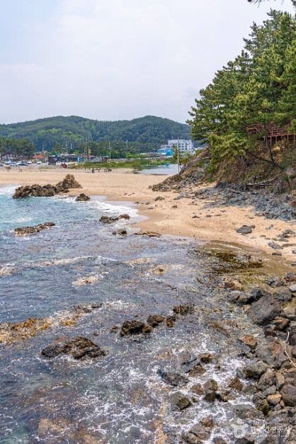 덕봉산 해안생태탐방로 사진 4