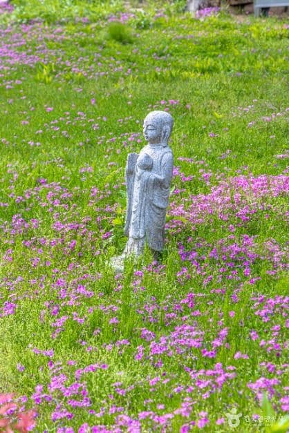 청평사(춘천) 사진 1
