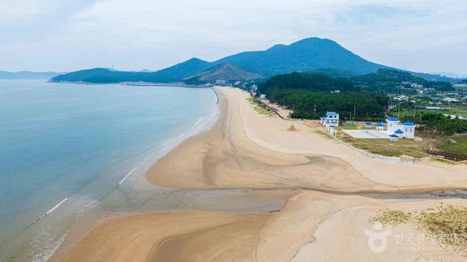 신지명사십리해수욕장 사진 6