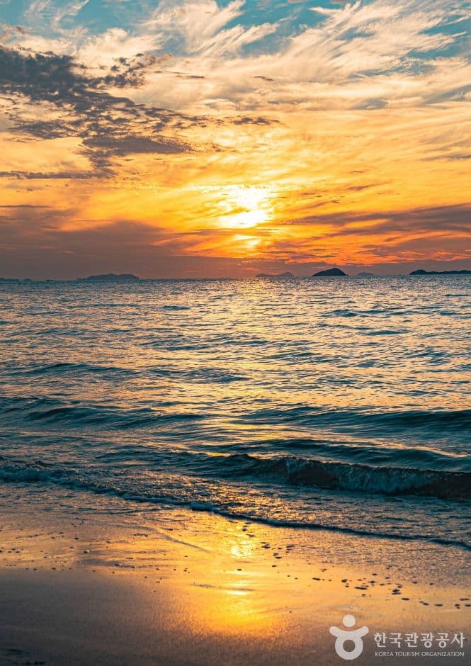 변산해수욕장 사진 5