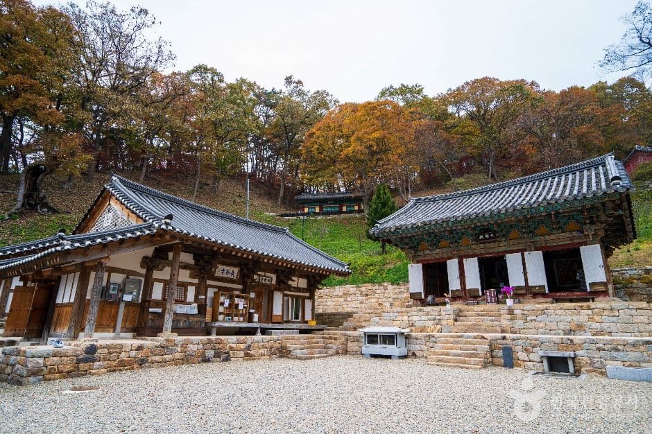 장곡사(청양) 사진 3