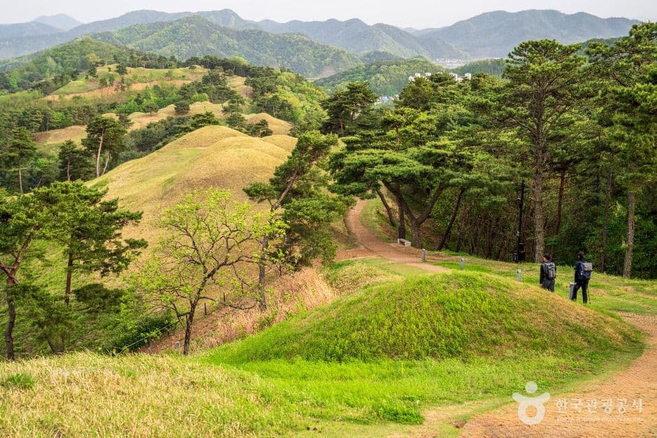 고령 지산동 고분군 사진 4