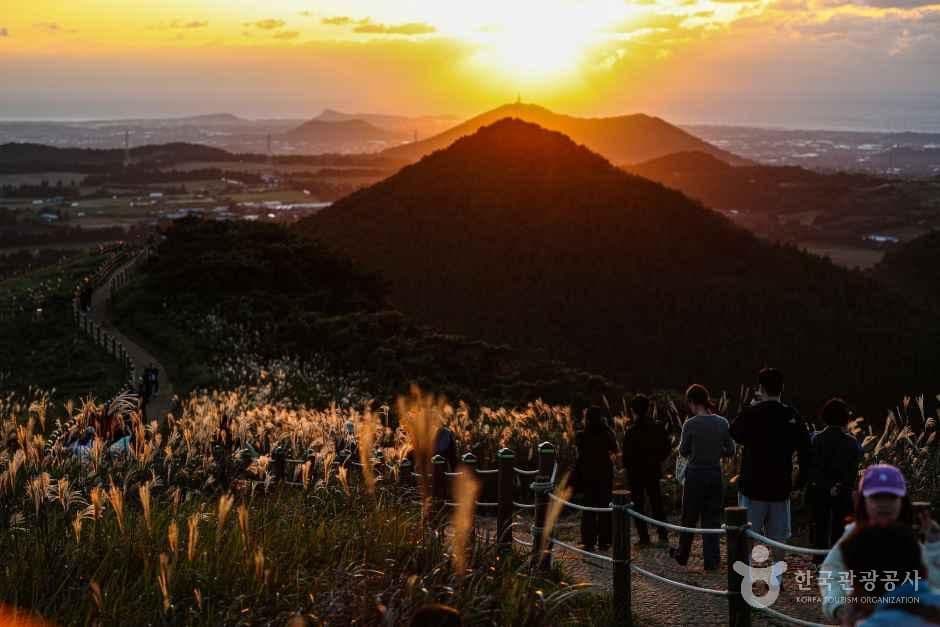 새별오름 사진 5
