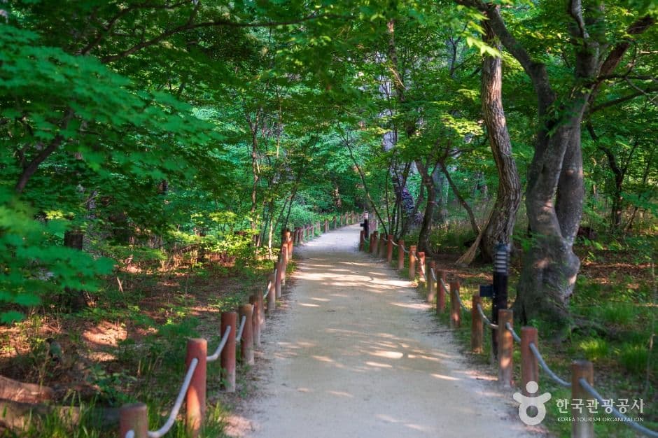 상림공원 사진 2