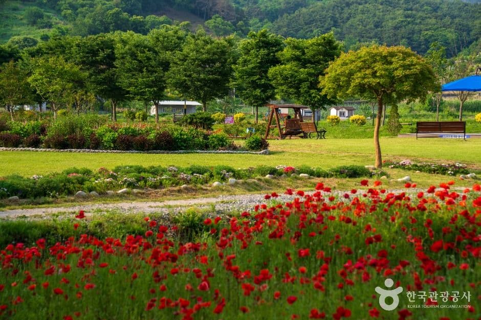 상림공원 사진 3