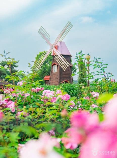 서울대공원 사진 1