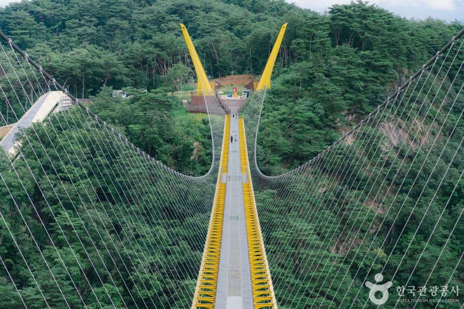원주 소금산 울렁다리 사진 4