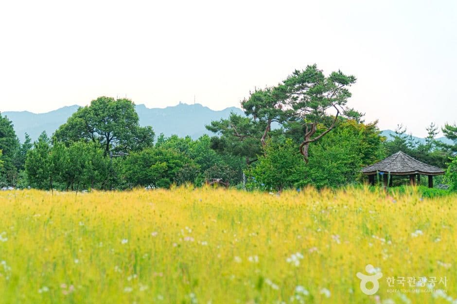 서울대공원 사진 8