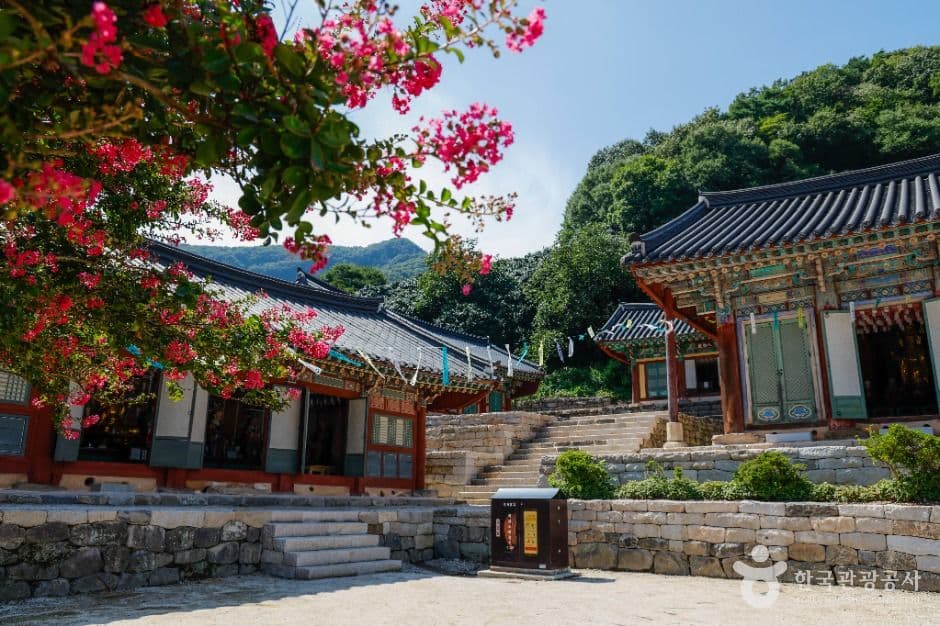 선운사(고창) 사진 4