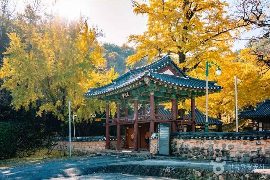 함안향교 사진 1