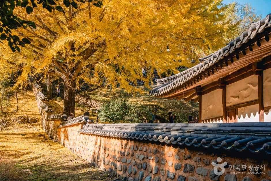 함안향교 사진 4