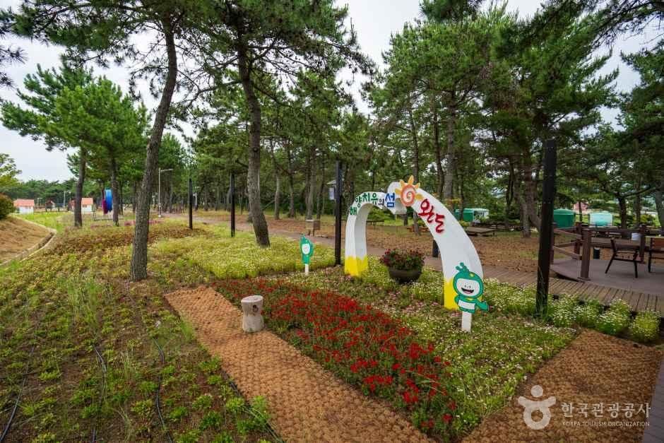완도해양치유센터 사진 1