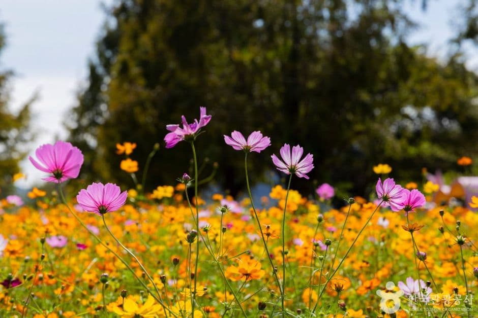 호국의병의숲친수공원 사진 1