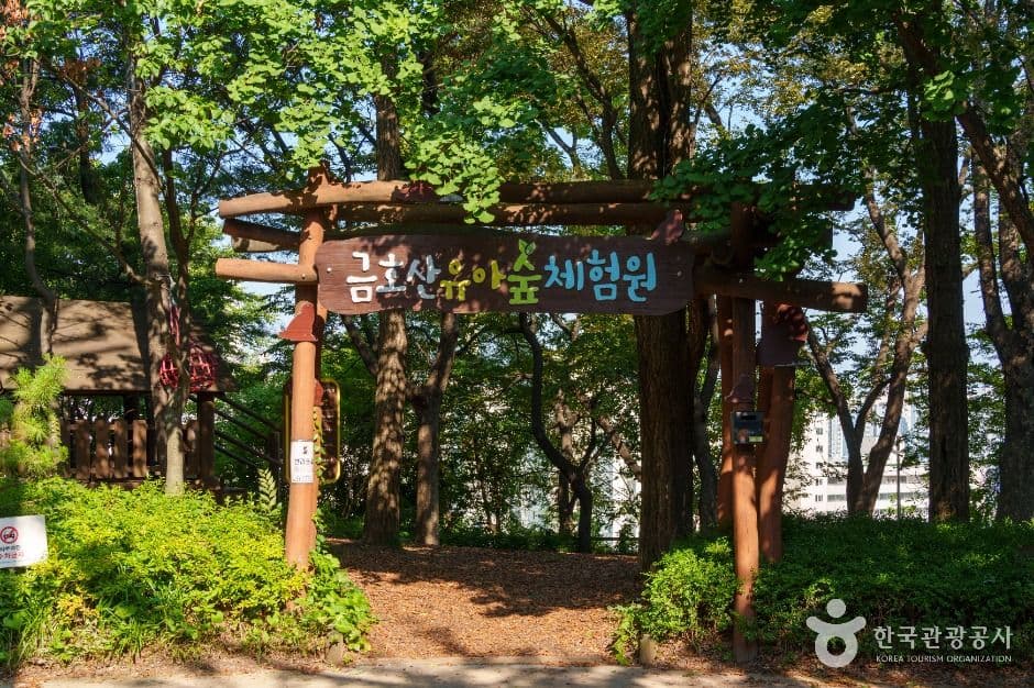 남산자락숲길 사진 3