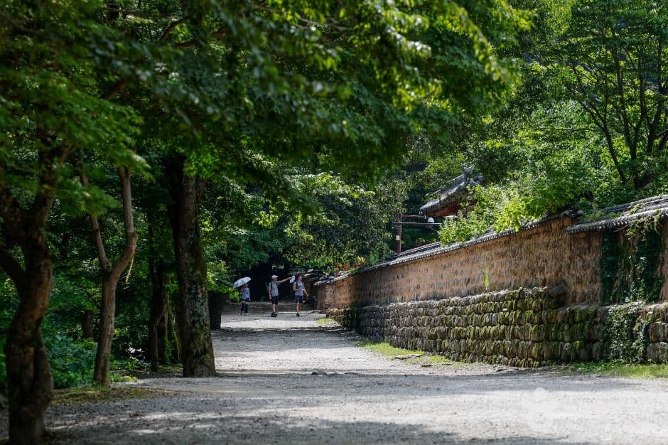 선운사(고창) 사진 1