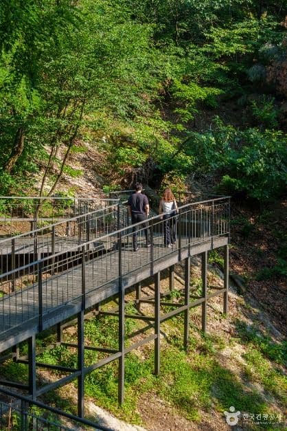 남산자락숲길 사진 2