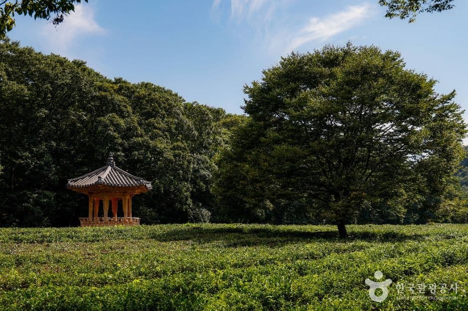 선운사(고창) 사진 3