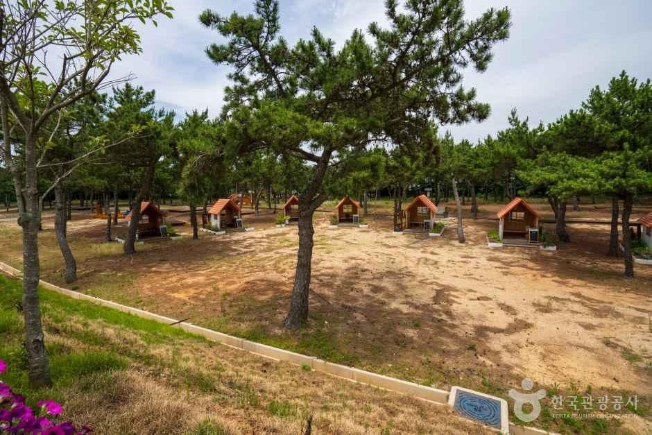 완도해양치유센터 사진 6