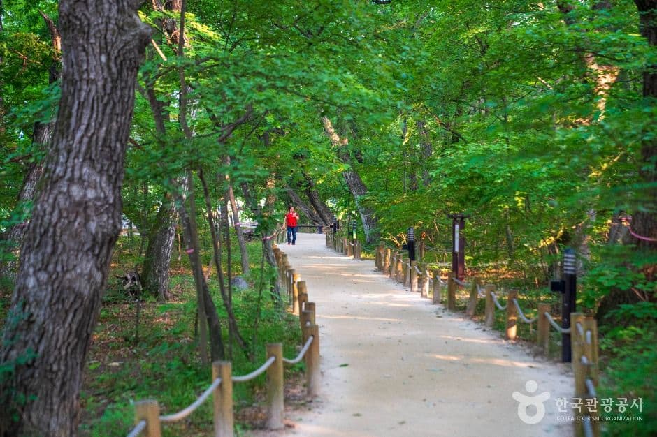 상림공원 사진 5