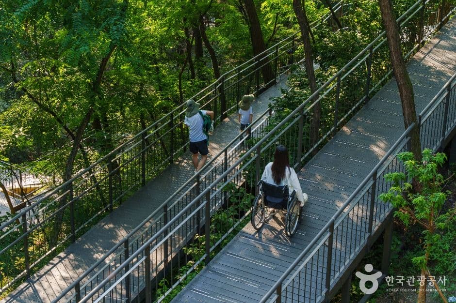 남산자락숲길 사진 4