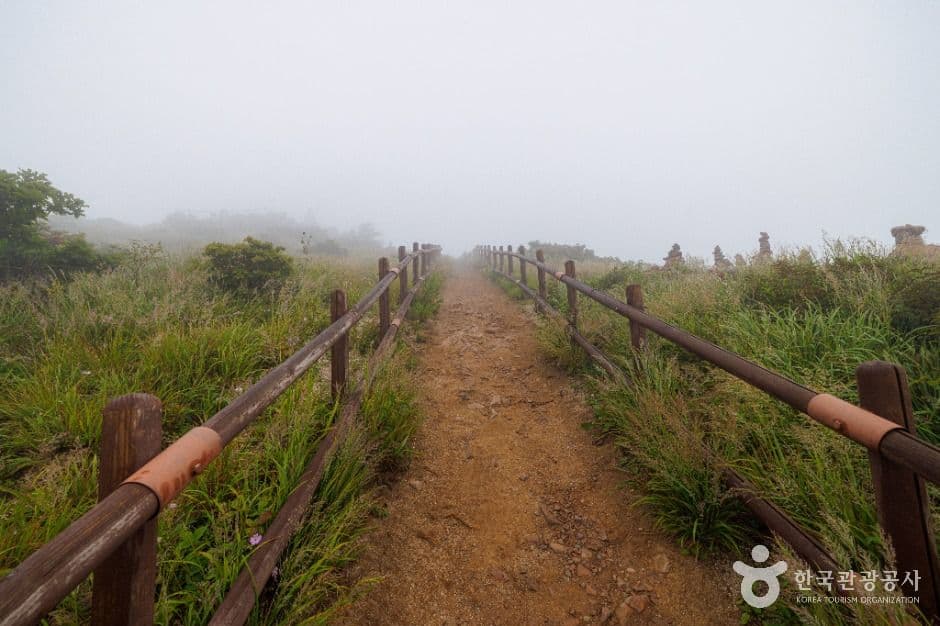 함백산 사진 5