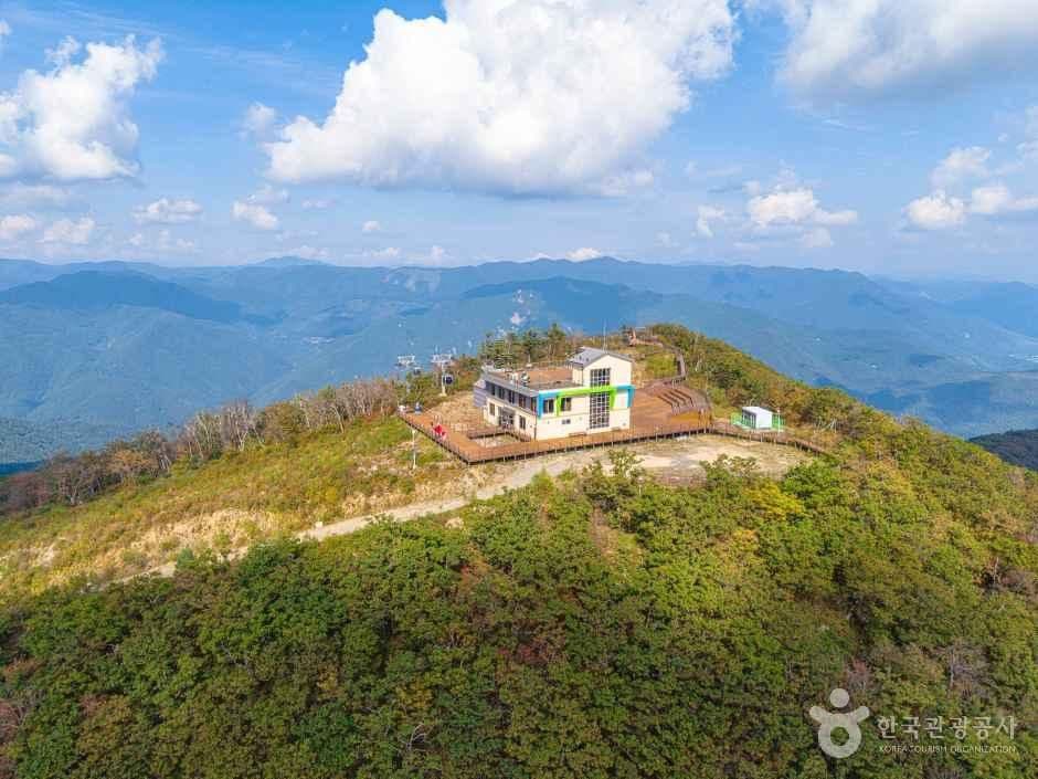 가리왕산 사진 4