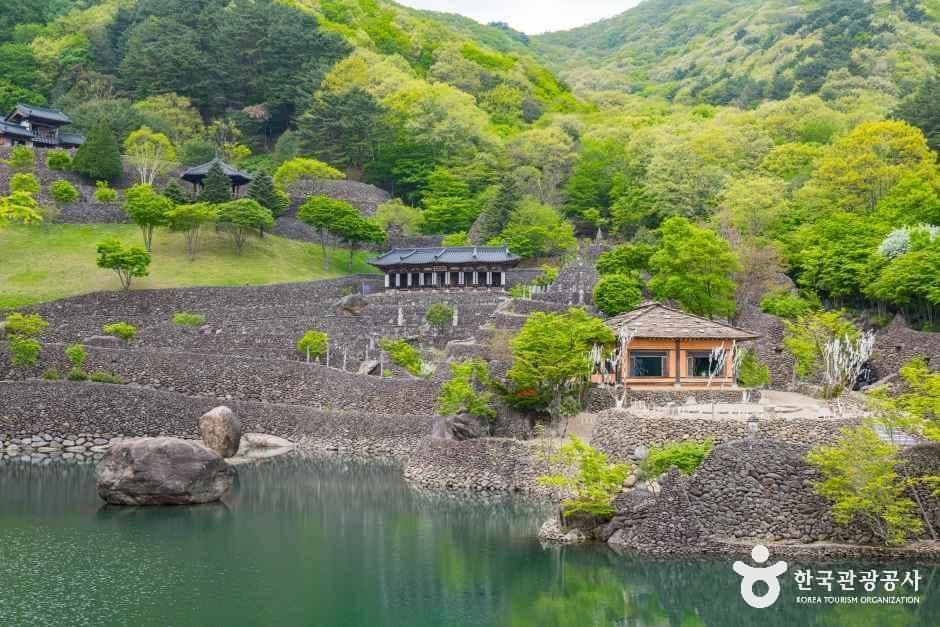삼성궁 사진 6