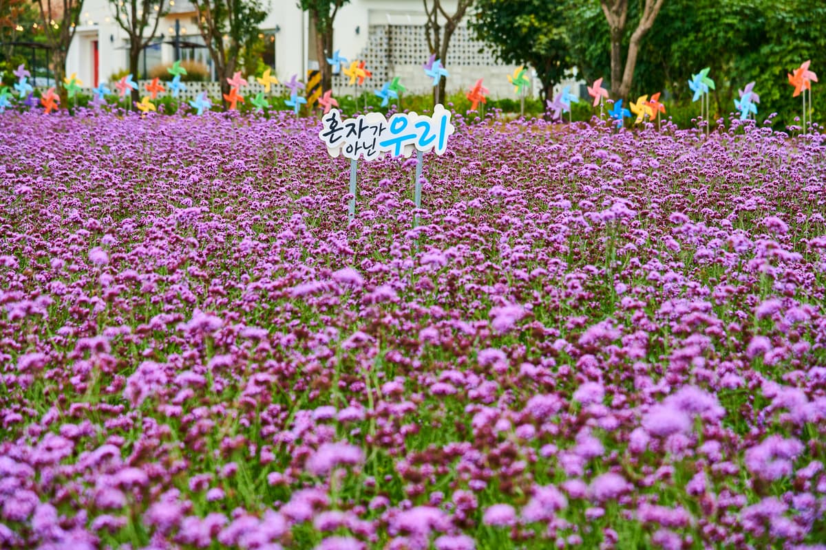 제천비행장 사진 2