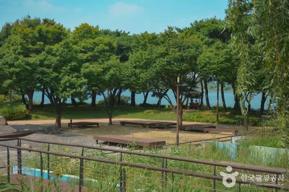 선유도공원 사진 4