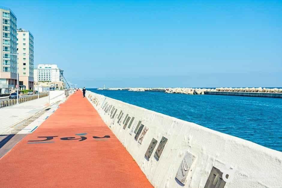 탑동광장 사진 5