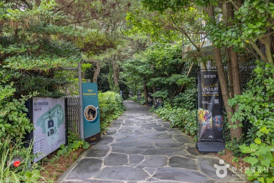 빛의 벙커 사진 2