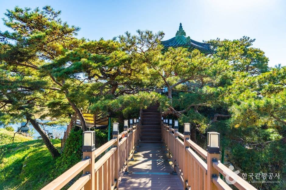 강선대 사진 4