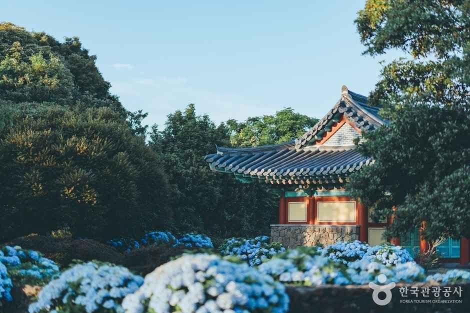 혼인지 사진 3