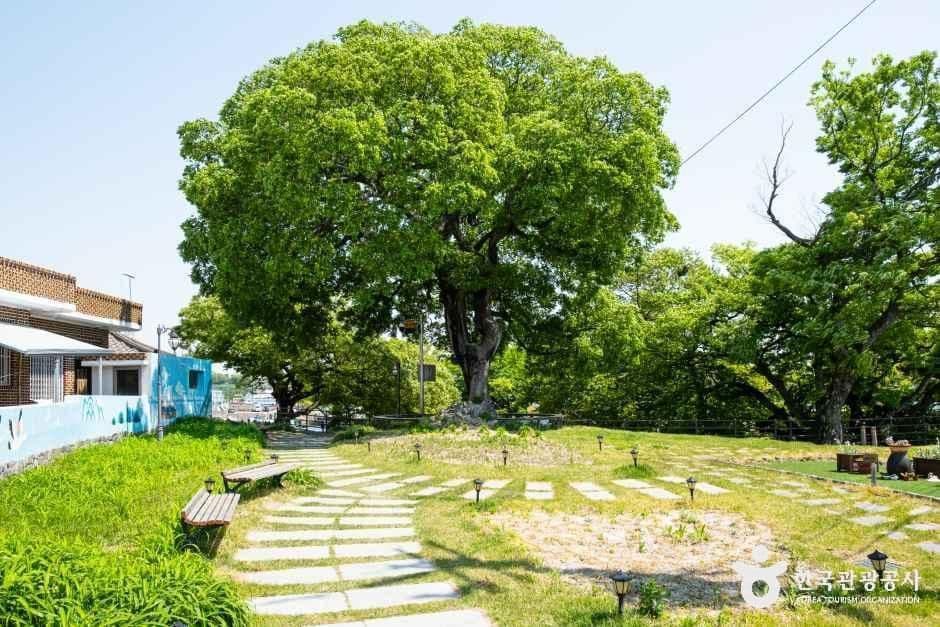 대방진굴항 사진 7