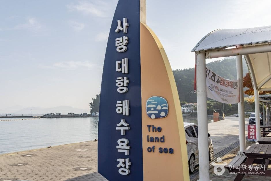 대항해수욕장 사진 2