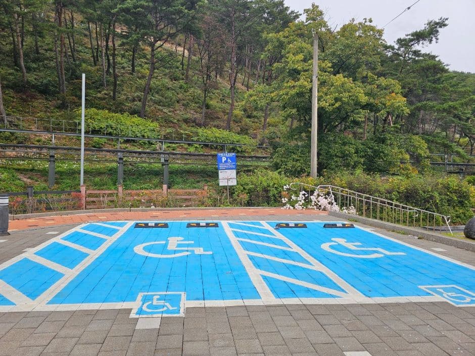 속리산테마파크모노레일 사진 1