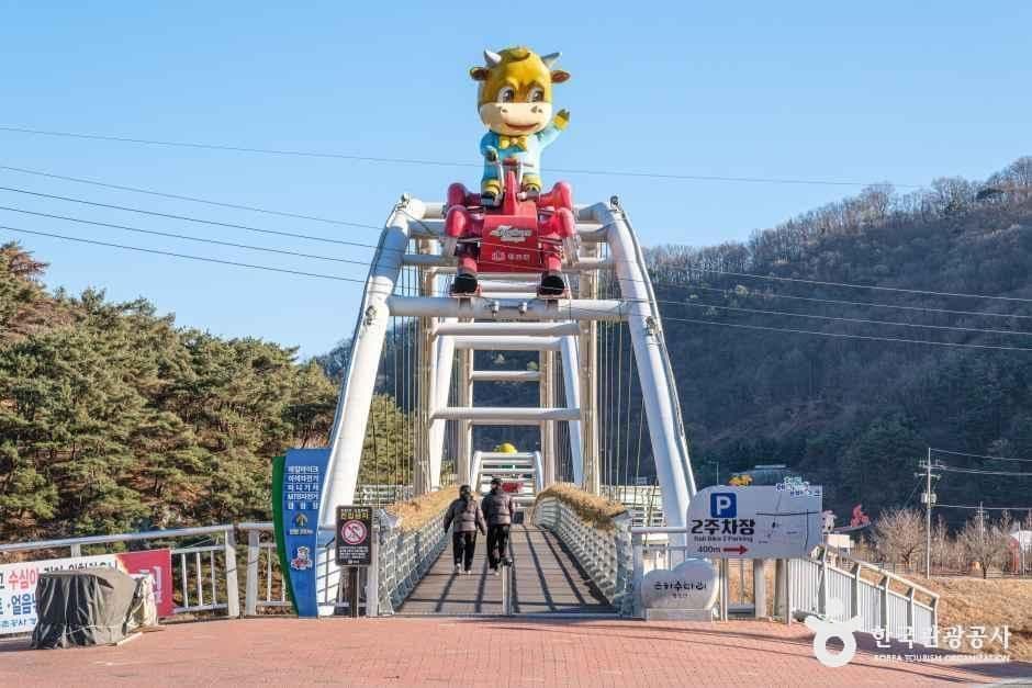 청도 레일바이크
