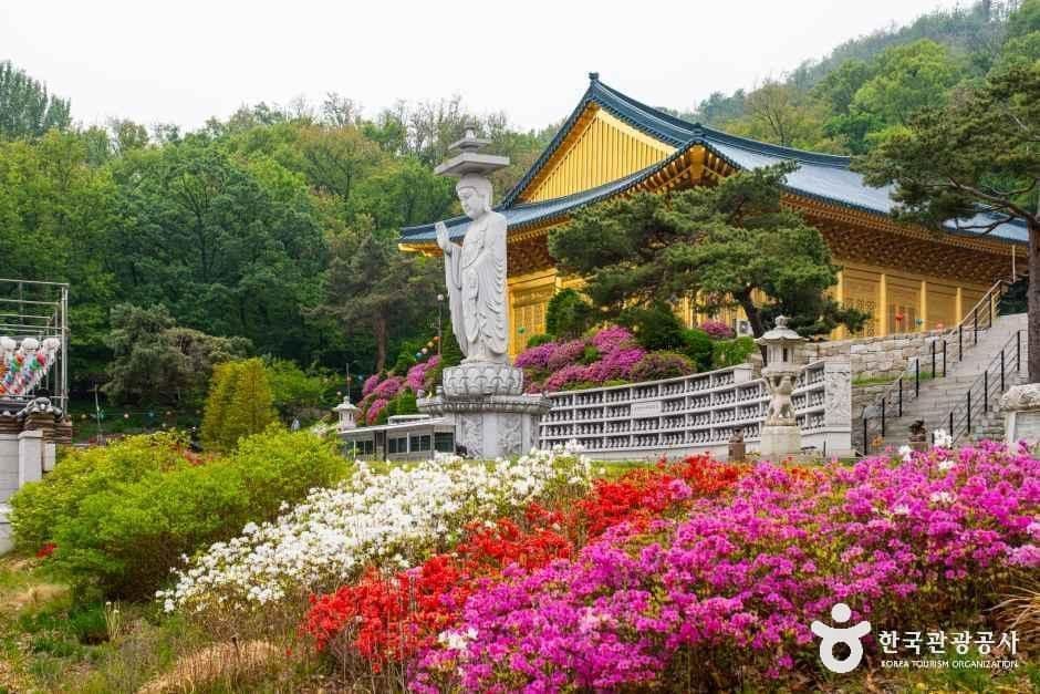 수국사(서울) 사진 4