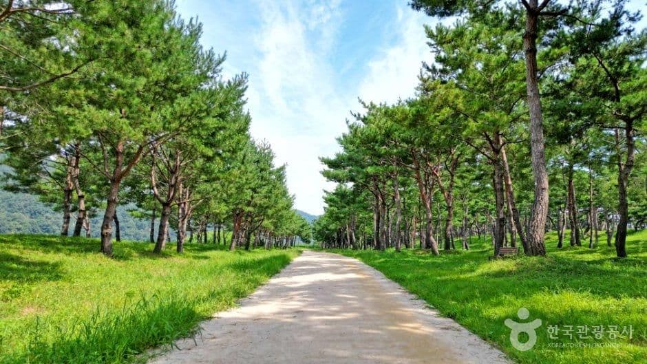 공주 고마나루 사진 5