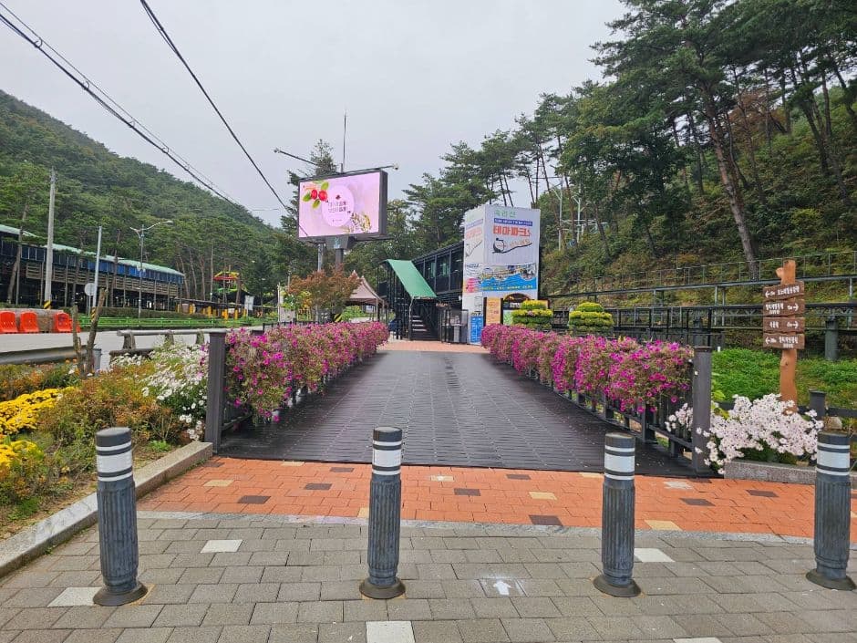 속리산테마파크모노레일 사진 2