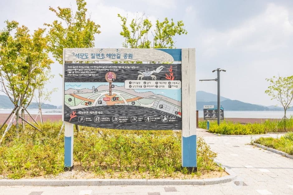 석모도 칠면초 군락지 사진 3