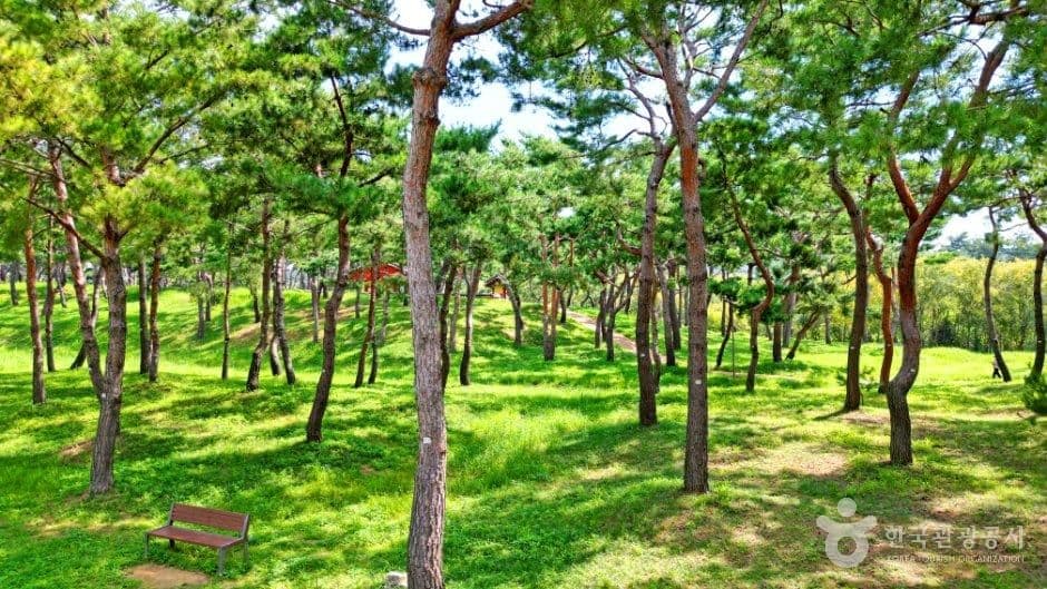 공주 고마나루 사진 6