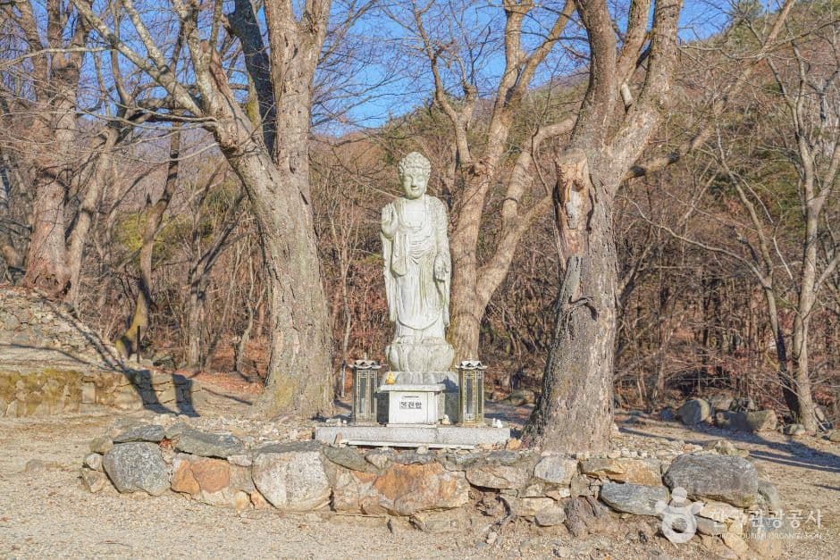 사나사(양평) 사진 1
