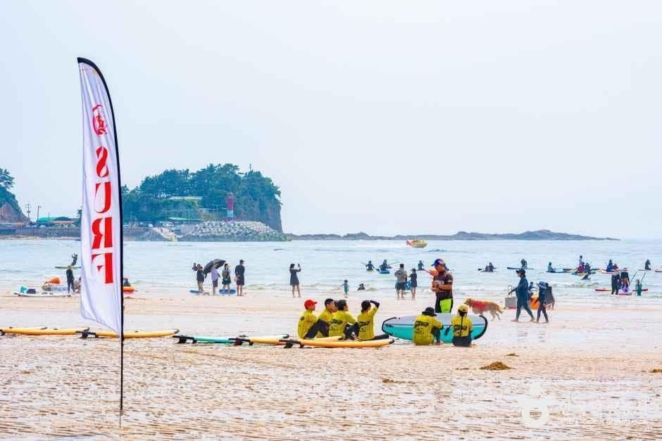 엠엘피서프 사진 2
