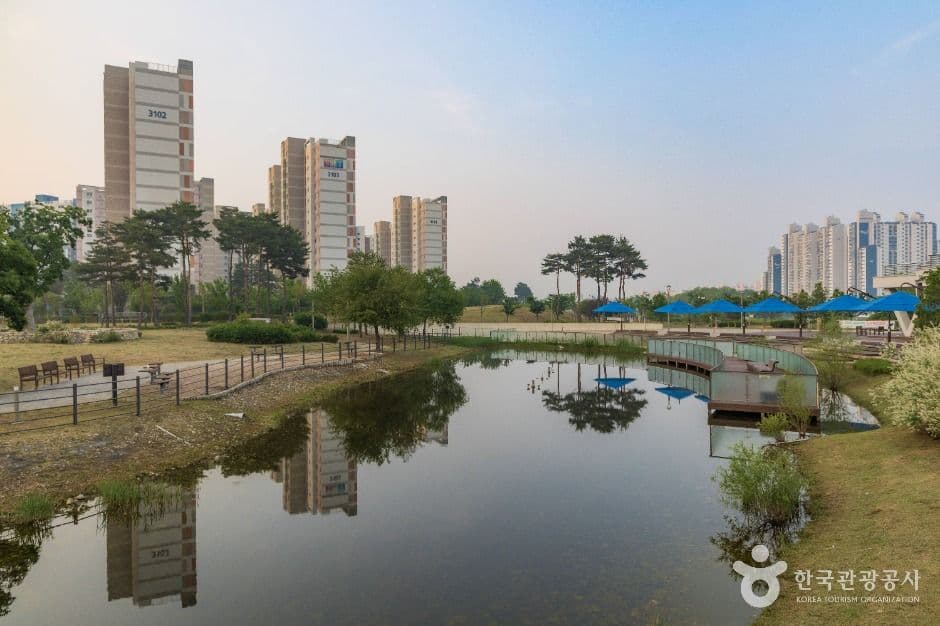 다산수변공원 사진 3