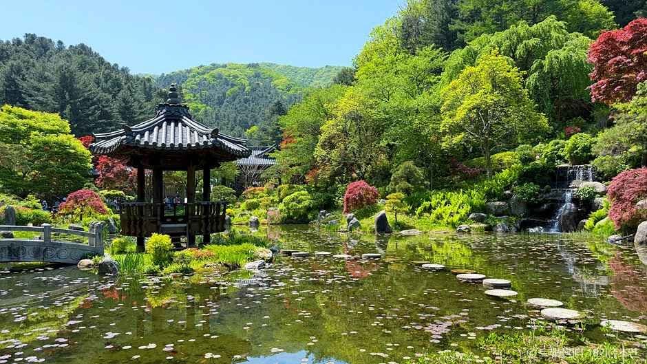 아침고요수목원 사진 4